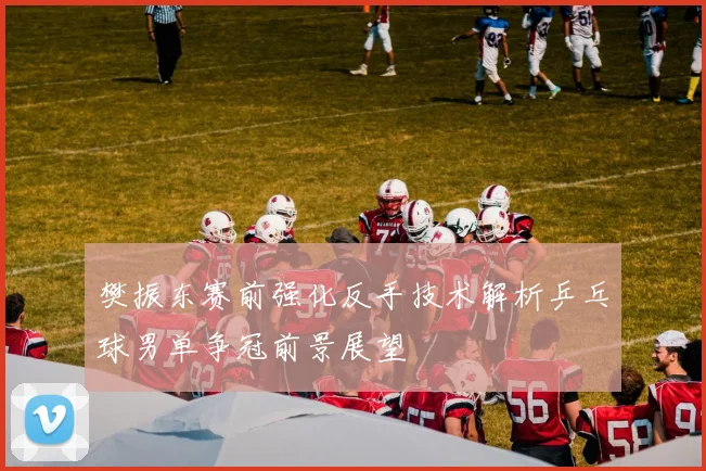 樊振东赛前强化反手技术解析乒乓球男单争冠前景展望